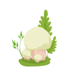Mushrooms Illustration