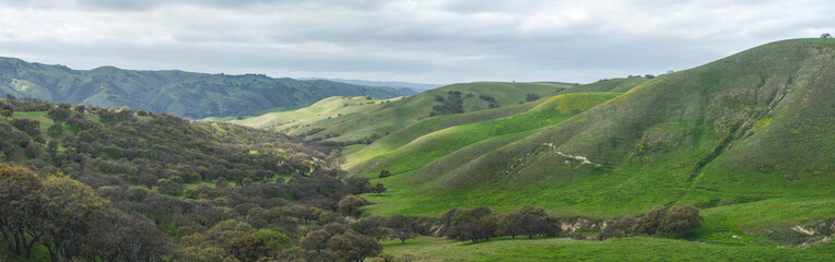 On top of the hills near Lake del Valle in Livermore during spring time