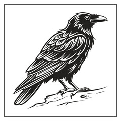 Crow bird Silhouette Vector