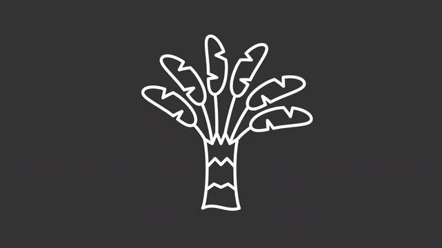 Animated traveller palm white icon. Ravenala plant Singapore symbol line animation. Tropical jungle flora exploration. Isolated illustration on dark background. Transition alpha video. Motion graphic
