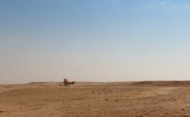 Giza landscape with horse carriage on a sunny day, Egypt