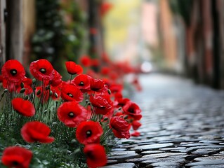 Poppy-lined cobblestone alley