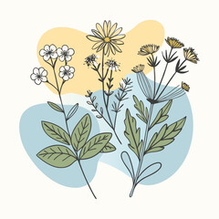 Sketch wildflowers and herbs nature botanical elements. Hand drawn summer field flowering vector set. Illustration of floral field