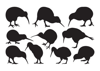  Kiwi Bird vector,  Kiwi Bird clipart,  Kiwi Bird silhouette