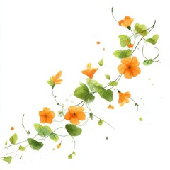Watercolor illustration of orange flowers with green leaves vines isolated on white background