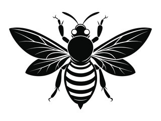 Cute cartoon vector illustration of a black and white bee and a black bee, an insect design