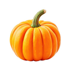 Obraz premium Single orange pumpkin with a green stem on a white background. Autumn harvest.