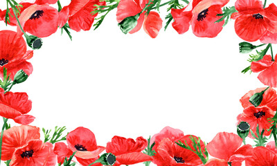 Hand drawn red poppies with rectangular copy Space