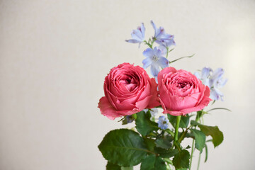 薔薇とデルフィニウム