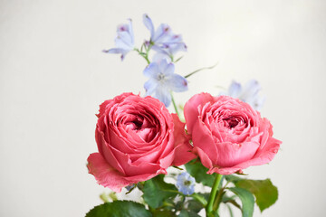 薔薇とデルフィニウム