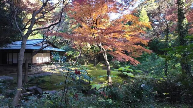 Dec 6 2024 Kyu Furukawa Teien Tokyo Japan Historic Garden and Mansion View
