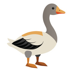 Goose isolated on white background