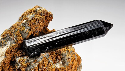 Aegirine (dark crystals) with feldspar inclusions (light areas)