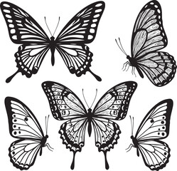 wing, butterfly, fly, graphic, insect, silhouette, isolated, black, icon, vector