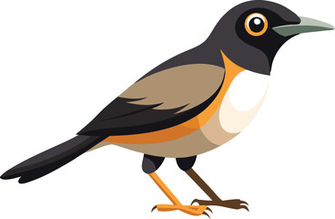 Beautiful bird white-necked thrush vector illustration 