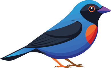 Beautiful bird paradise tanager vector illustration