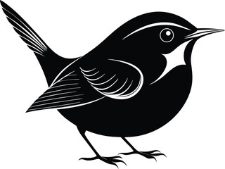 Fototapeta premium Beautiful Moonbeam Wren silhouette black color vector illustration