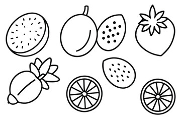 canistel line art natural organic fruit artwork