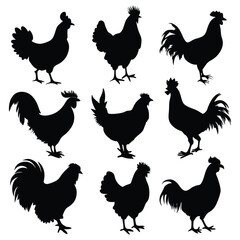 Chicken and Rooster Silhouette Vector Set.
