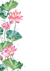 Watercolor pink lotuses on a white background. The water lilies are hand-painted. Botanical illustration. A composition with a lotus. A template for the design of postcards, invitations and fabrics.