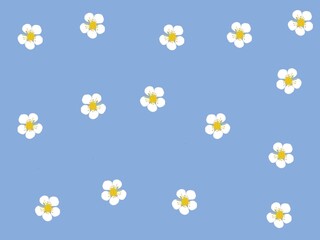 Blue background with small white flowers in summer