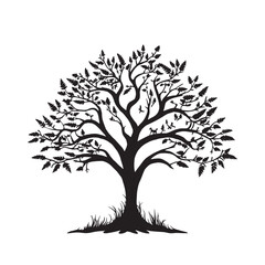 Turmeric Tree Silhouette with Broad Leaves