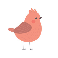 Fluffy orange bird with brown wings and rosy cheeks in minimalist style, ideal for cozy pet clipart, soft animal icons, and whimsical character design.