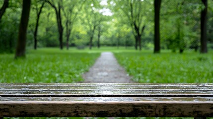 Wet park bench in rainy spring park