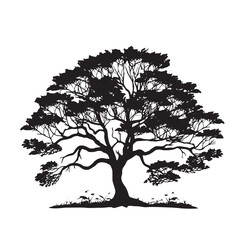 Obraz premium Minimalist Turmeric Tree Silhouette Isolated