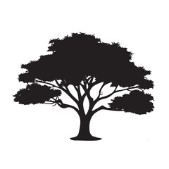 Spice Plant Turmeric Tree Black Silhouette Vector