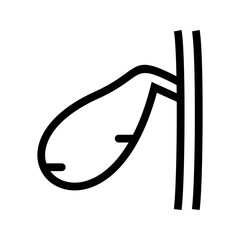 Gallbladder icon vector image. Suitable for mobile apps, web apps and print media.