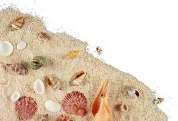 sea shells and starfish corner decoration