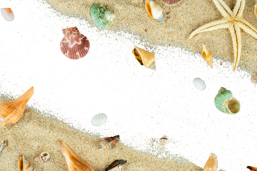 summer beach copy space with shell decoration