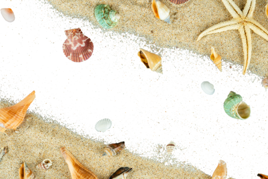 summer beach copy space with shell decoration