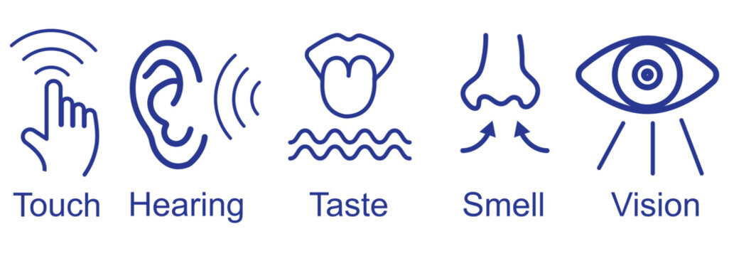 Human sense icons. Five human senses icons. Vision smell hearing touch taste senses fillings. Five fillings icons. Vector Illustration. Vector Graphic.