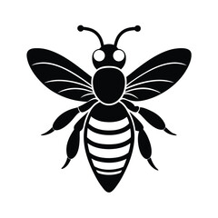 bee head antenna vector art silhouette