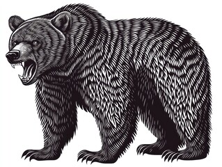 Angry grizzly bear illustration, wildlife art, white background, nature