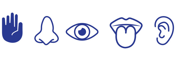 Human sense icons. Five human senses icons. Vision smell hearing touch taste senses fillings. Five fillings icons. Vector Illustration. Vector Graphic.
