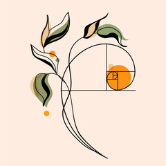 Minimalist Botanical Art with Golden Ratio Spiral modern logo,fashion print.Modern Botanical Geometry with Golden Ratio Element.Botanical Design with Fibonacci Spiral and Leaves vector illustration