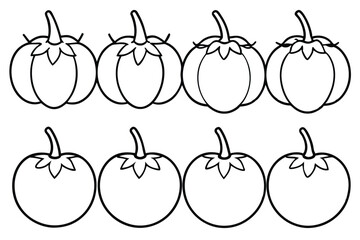 cherry tomato line art bright and fresh vegetable sketch