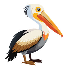 Pelican isolated on white background