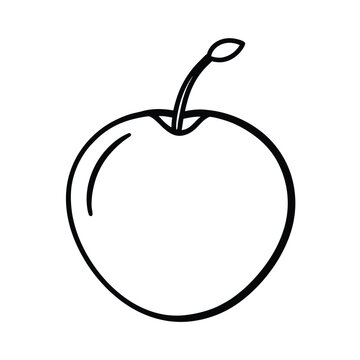 riberry fruit line art vector illustration
