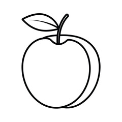 prunus fruit line art vector illustration