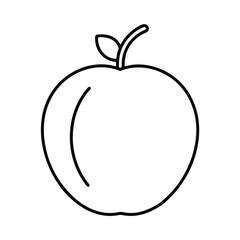 pouteria fruit line art vector illustration