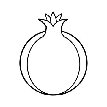 recommend clip art: pomegranate fruit line art vector illustration