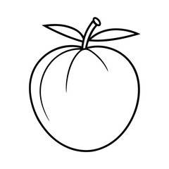 pindo palm fruit line art vector illustration