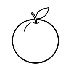 orange fruit line art vector illustration