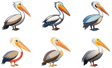 set of pelicans