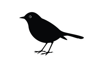 Obraz premium A robin bird silhouette