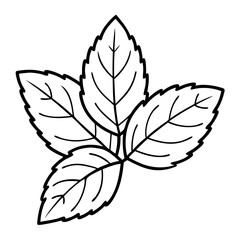 Mint Leaves Outline Coloring Book Page Line Art